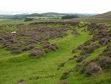 Central Area of Fallburn Hillfort