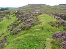 Hillfort Ramparts