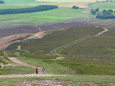 Looking Down the Upper Paths