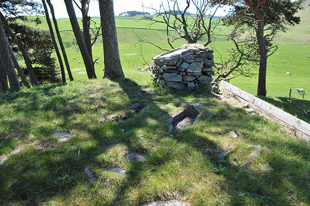 The Cemetery on Abbey Knowe