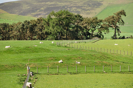 Part of the Fort Seen from Abbey Knowe