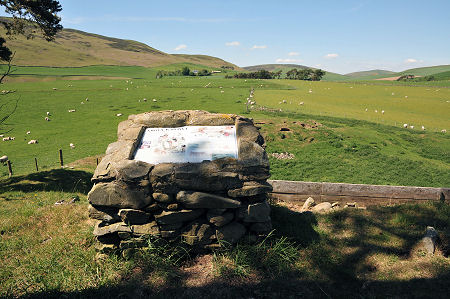 Lyne Roman Fort seen - this side of the distant line of trees - from the top of Abbey Knowe