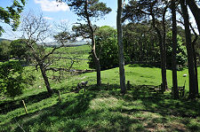 View from Abbey Knowe