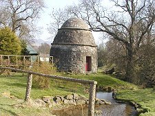 Dovecot