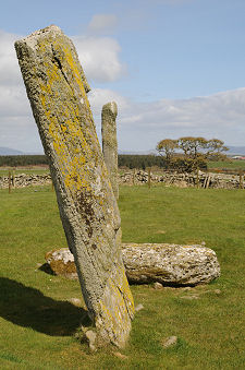 The Now-Fallen Stone in 2010