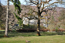 A Glimpse of Achnacarry Castle