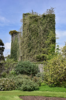 Another View of Castle Kennedy