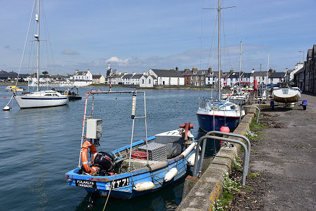 The Harbour