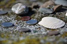 Offerings