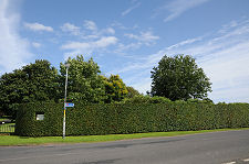 Some Remarkable Hedges